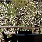 Koman_lakeview_apartments * Shkodër